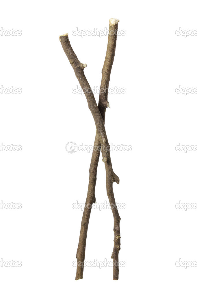 Twigs