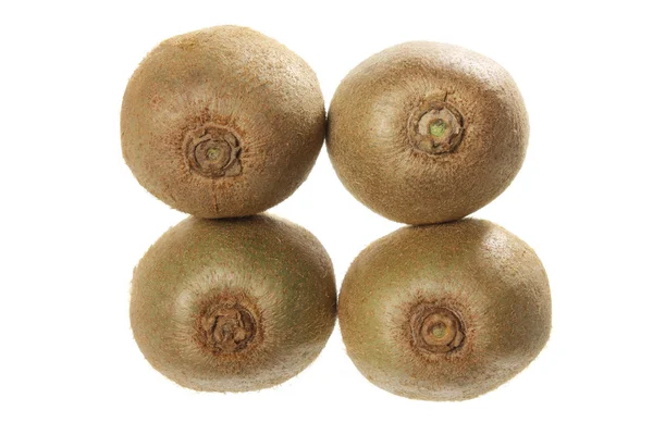 Kiwi frukt — Stockfoto