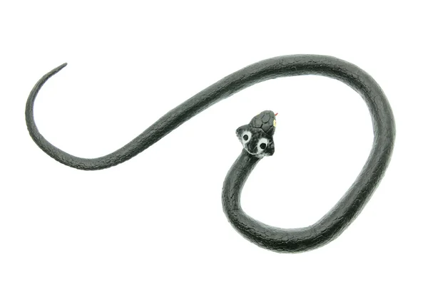 Rubber Cobra — Stock Photo, Image