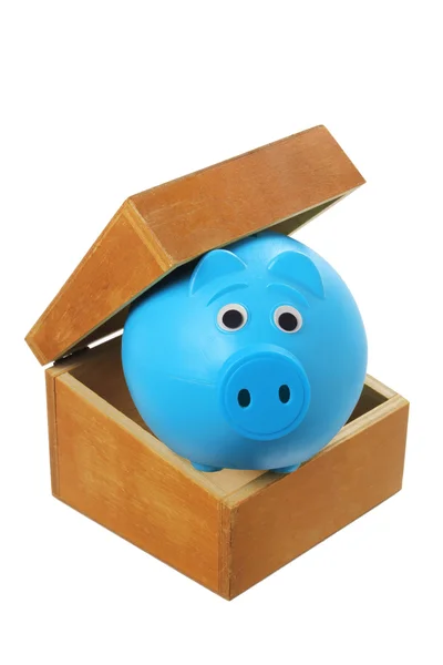 Piggy bank in vak — Stockfoto