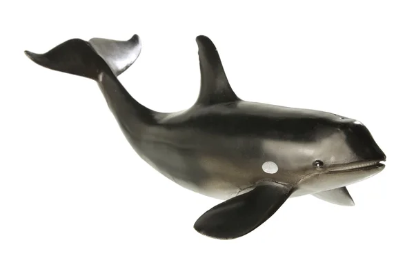 Whale — Stock Photo, Image