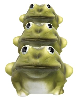 Frog biblo