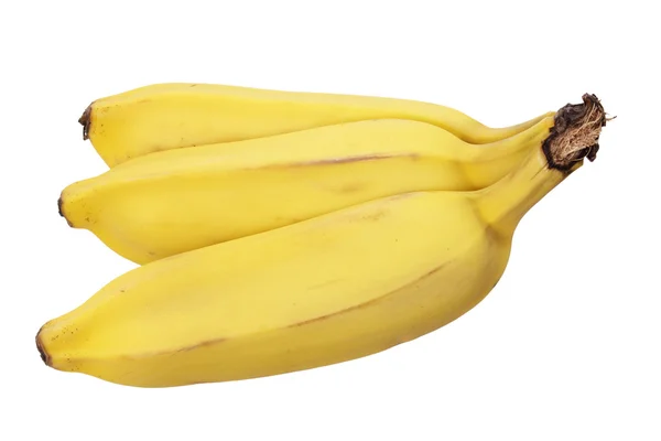 Suiker banaan — Stockfoto