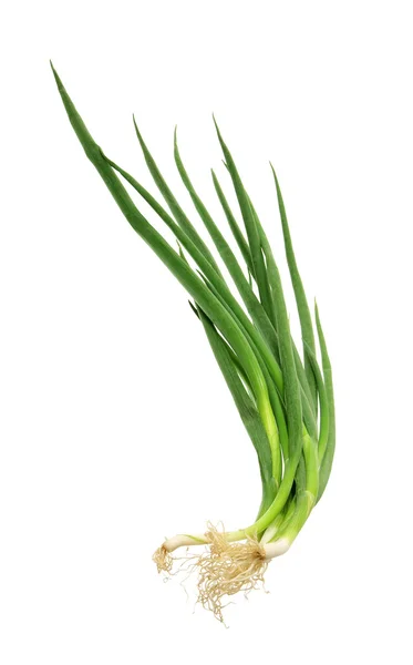 Spring Onions — Stock Photo, Image