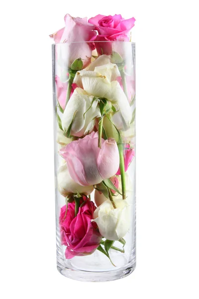 Roses in Vase — Stock Photo, Image