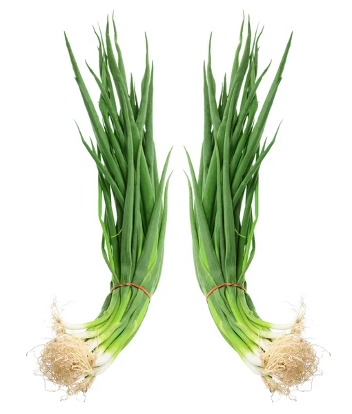 Spring Onions — Stock Photo, Image