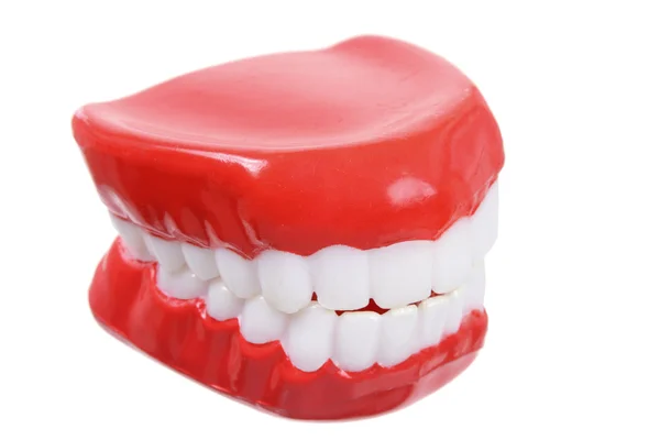 가짜 치아 — 스톡 사진