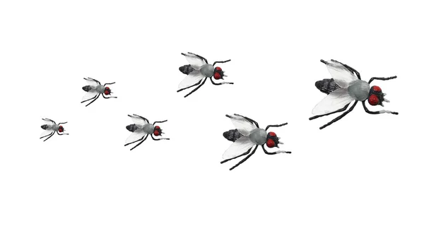 Игрушечные мухи — стоковое фото