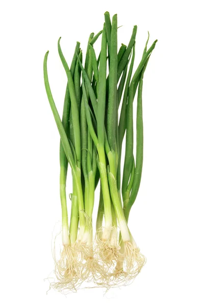 Spring Onions — Stock Photo, Image