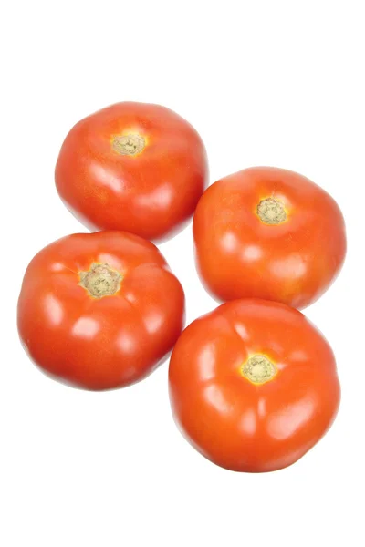 Tomaten — Stockfoto