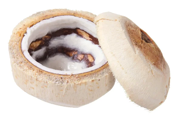 Junge Kokosnuss — Stockfoto