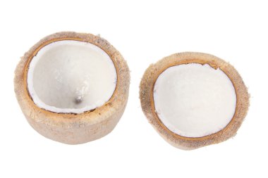 Küçük Hindistan cevizi 