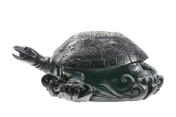 Feng-Shui-Schildkröte — Stockfoto