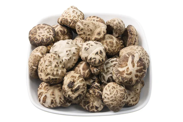 Shitake Mushrooms — Stock Photo, Image