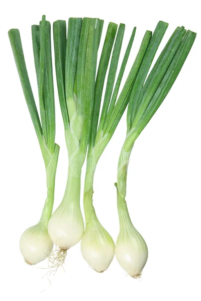 Spring Onions — Stock Photo, Image