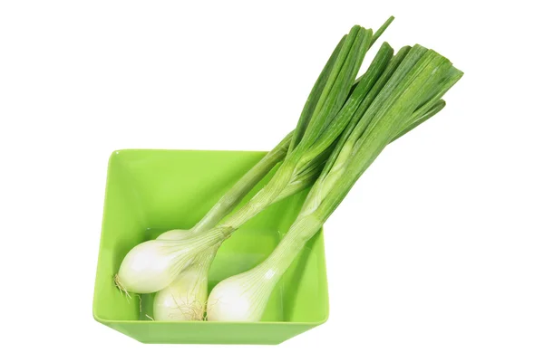 Spring Onions — Stock Photo, Image