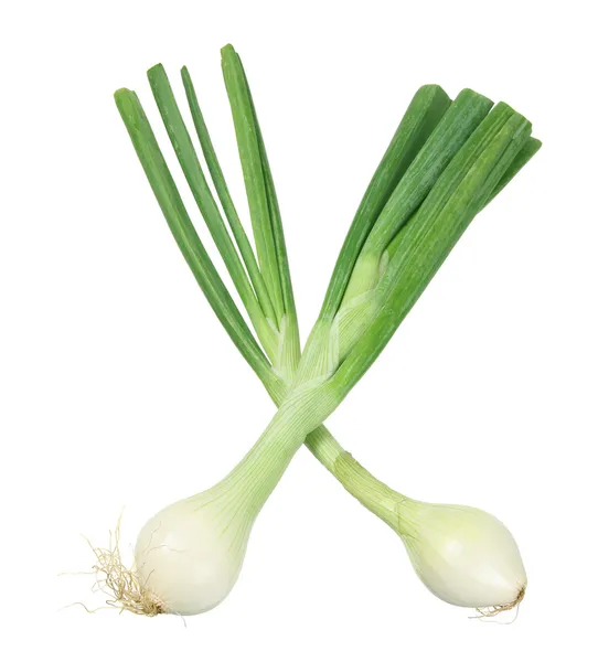 Spring Onions — Stock Photo, Image