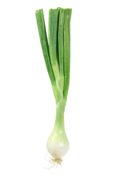 Spring Onion — Stock Photo, Image