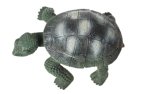 Speelgoed schildpad — Stockfoto