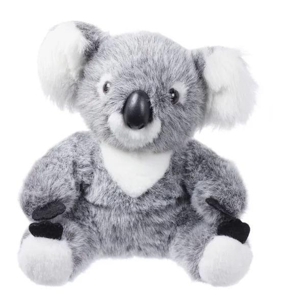 Soft Toy Koala — Stock Photo, Image