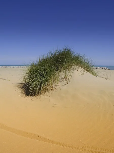 Dunes de sable 01 — Photo