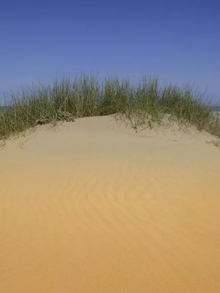 Sand dunes 05 — Stock Photo, Image