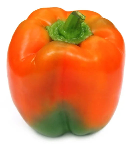 Verse capsicum — Stockfoto