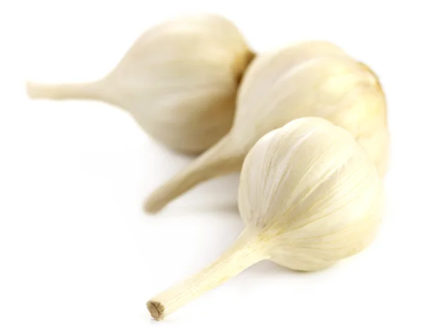 Fresh garlic — Stock Photo, Image