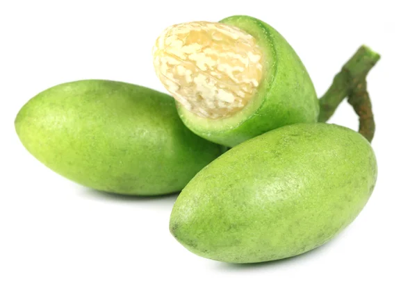 Aceituna india — Foto de Stock