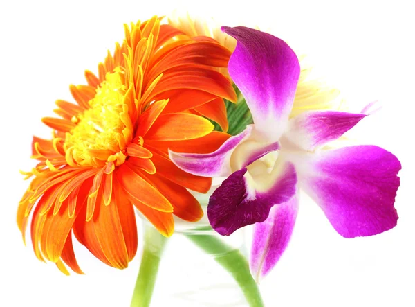 Small bouquet of Orchid and Gerbera — Stock Photo, Image