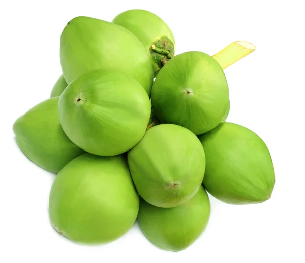 Yeşil Hindistan cevizi