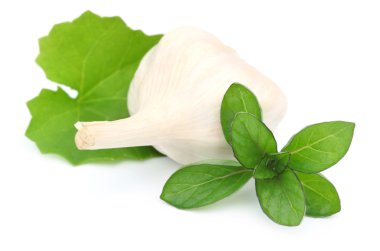 Şifalı otlar-nane yaprakları sarımsak ve brahmi lata