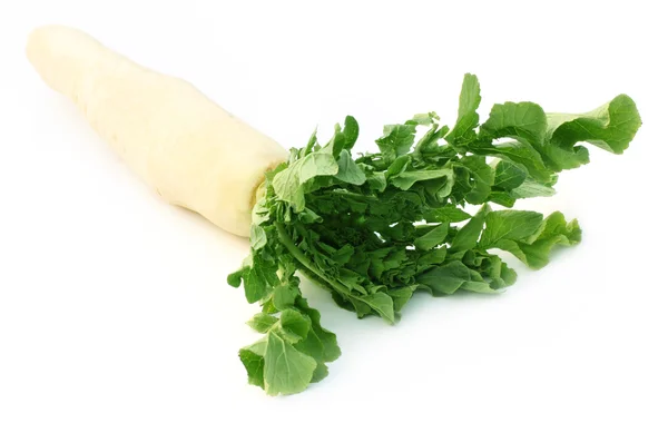 Daikon radish — Stock Photo, Image