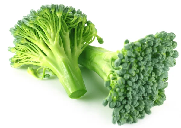 Fresh Broccoli — Stock Photo, Image