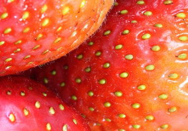 Taze çilek arkaplanı