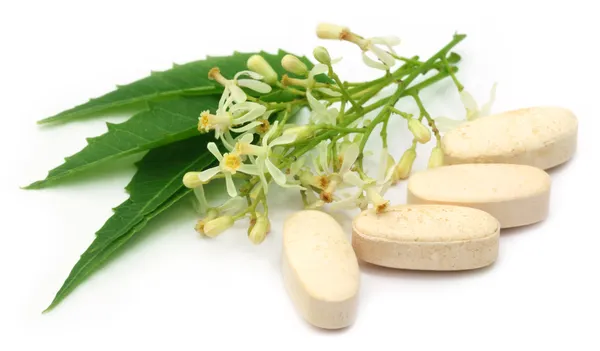 Таблетки из лекарственных листьев нима — стоковое фото