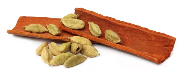 Cardamom seeds with cinnamon bark — Stock Photo, Image