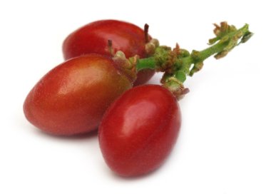 Yerel olarak Bangladeş'te kauaduli olarak bilinen polyalthia suberosa