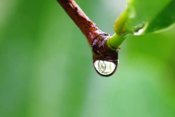 Falling water drop — Stock Photo, Image