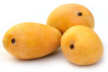 taze olgun Mango