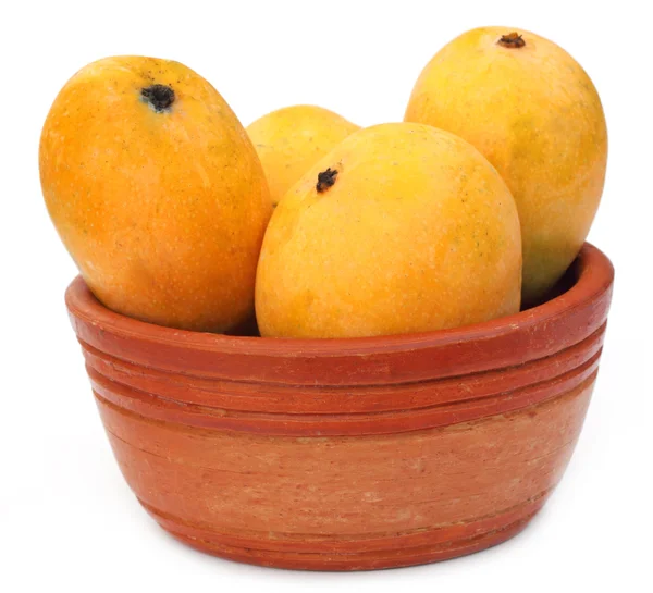 Świeże mango na misce gliny — Zdjęcie stockowe