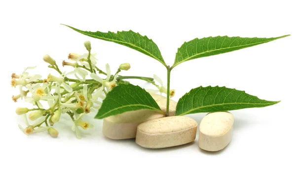 Pills made from medicinal neem — Stock Photo, Image