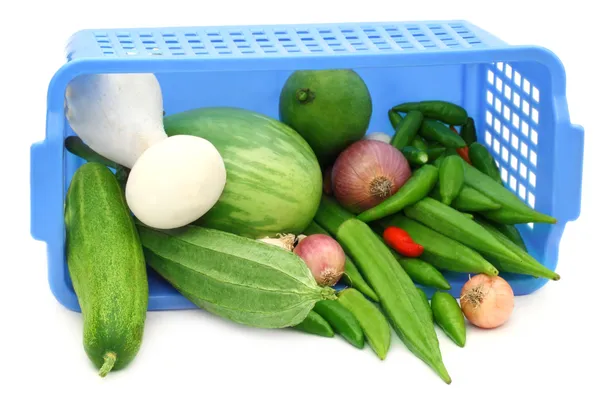 Свежие овощи из пластиковой корзины — стоковое фото