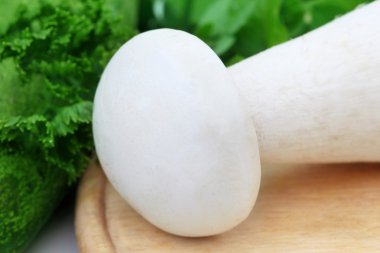 Sütlü mantar ile nane yaprakları
