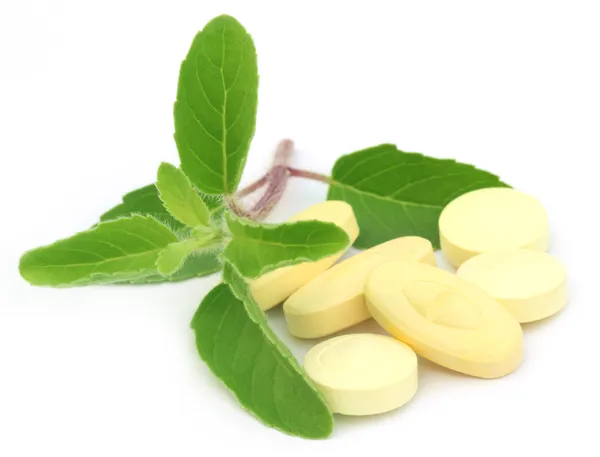 Таблетки с лекарственными святым базиликом или листьями тулси — стоковое фото