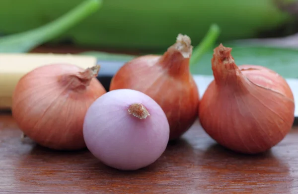 Fresh onions — Stock Photo, Image