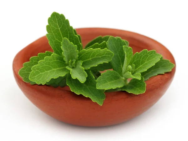 Stevia auf einer braunen Schüssel auf weißem Hintergrund — Stockfoto