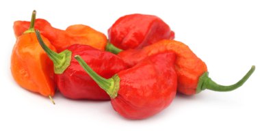 Red hot Chili