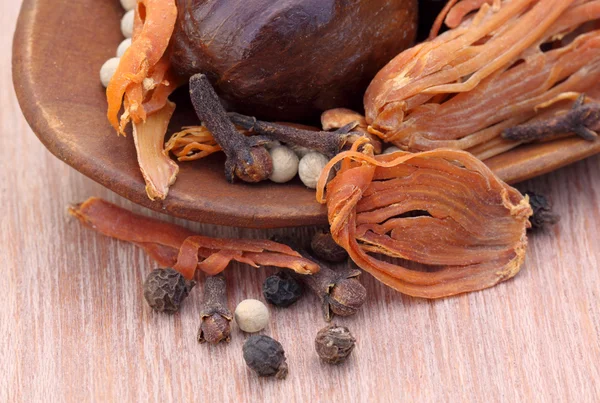 Indian spices — Stock Photo, Image