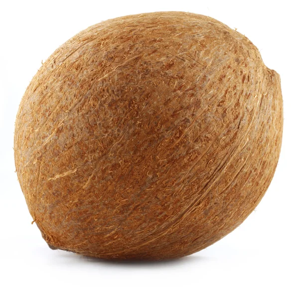 Fresh Coconut — Stock Photo, Image